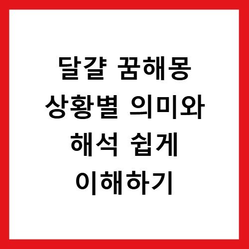 달걀 꿈해몽 상황별 의미와 해석 쉽게 이해하기