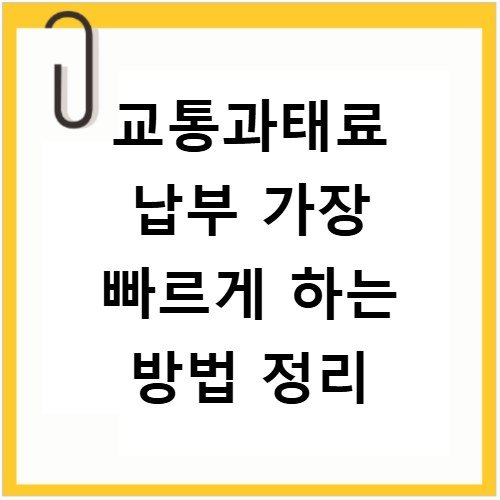 교통과태료 납부 가장 빠르게 하는 방법 정리