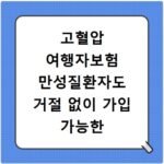 고혈압 여행자보험 만성질환자도 거절 없이 가입 가능한 해외 보험