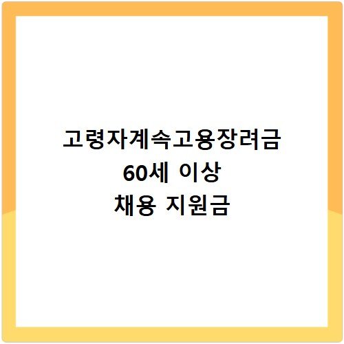 고령자계속고용장려금 60세 이상 채용 지원금